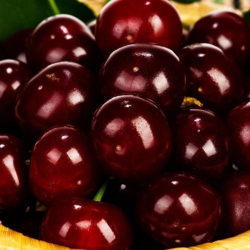 Черешня Ипуть 10 шт.