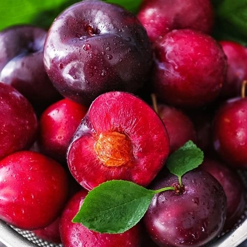 Шарафуга (гибрид сливы, нектарина, абрикоса) Моруснигра 20мг 1мл 1 шт.