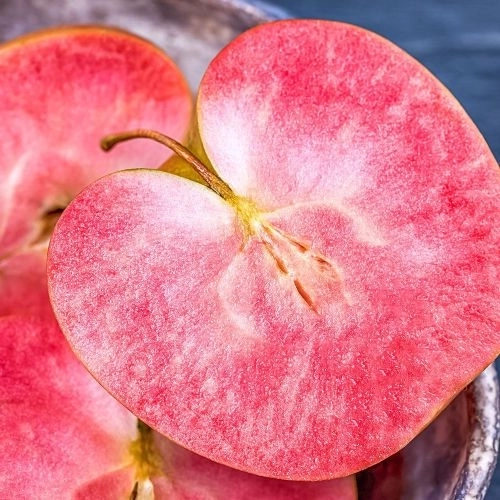 Яблоня красномясая полукарликовая Цирцея 1 шт.