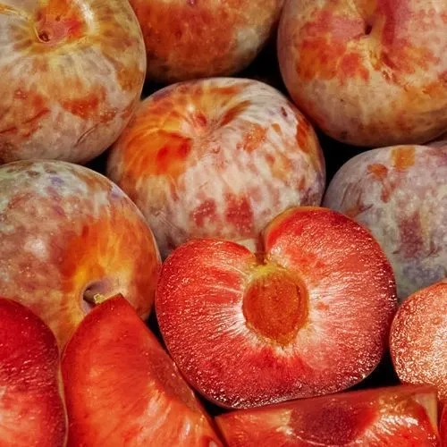 Плуот (гибрид сливы и абрикоса) Дапл Данди 1 шт.