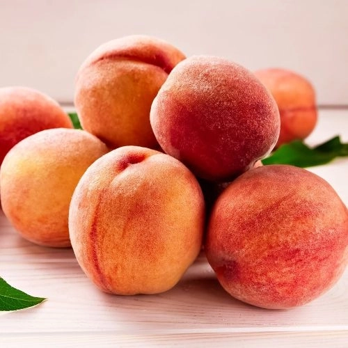 Персик для самого сурового климата Уралец 1 шт.